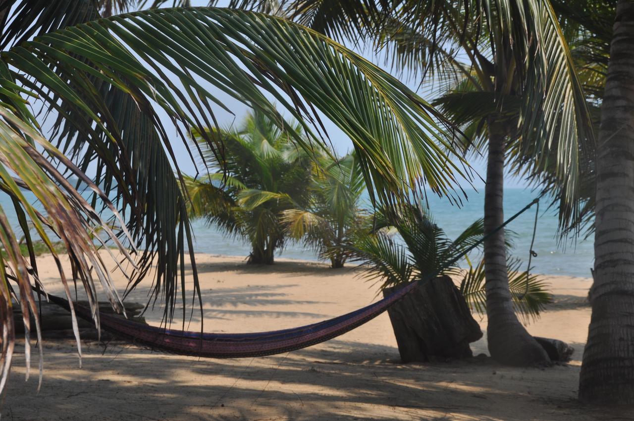 Sabal Beach Hotel Monkey River Town Exterior foto
