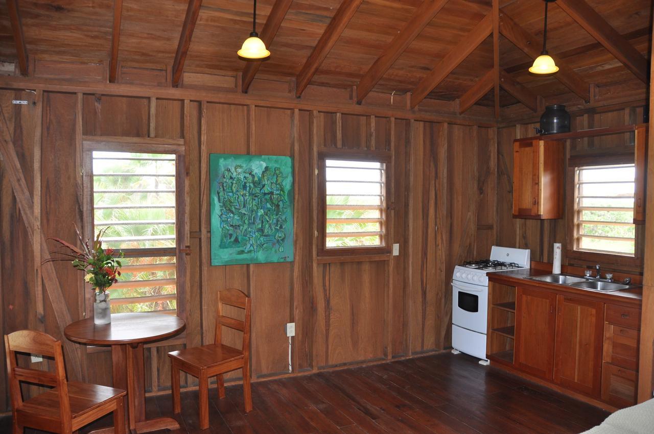 Sabal Beach Hotel Monkey River Town Quarto foto